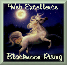 Blackmoon Web Excellence Award