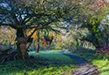 farmoils/DSC_3311P