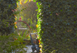 farmoils/DSC_8008P