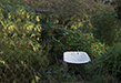 farmoils/DSC_8012P