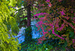 farmoils/DSC_9094P