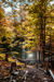 woodscapes3/DSC_0900
