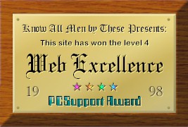 Web Excellence PC Support Award