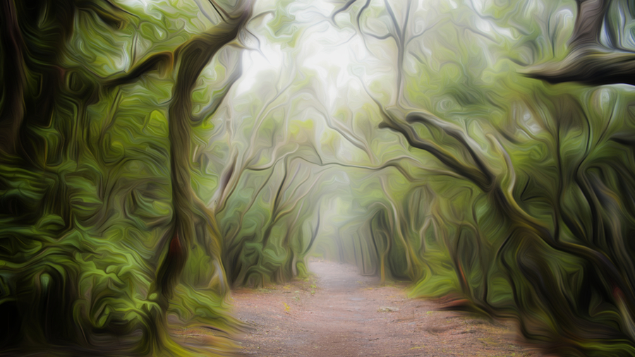 Foggy_Walk_II