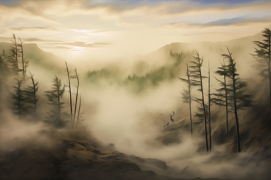 Foggy_Landscape_1