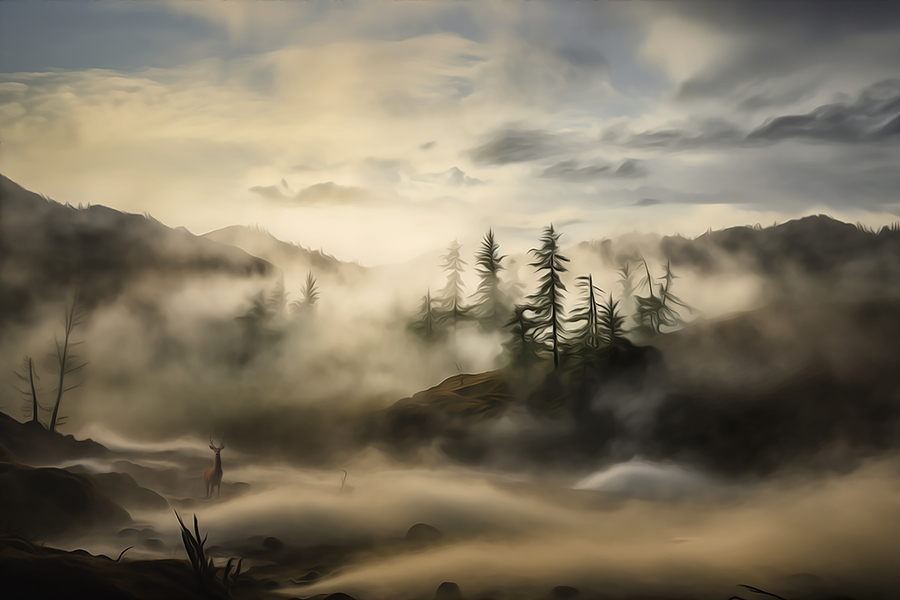 Foggy_Landscape_3