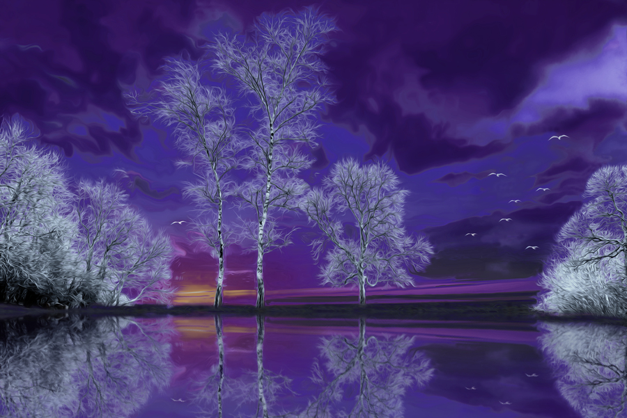 Purple_Reflection