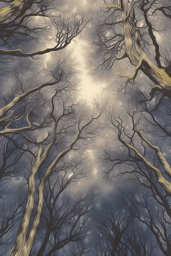 Tree_Canopy_10