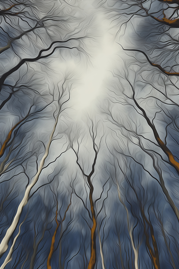 Tree_Canopy_7